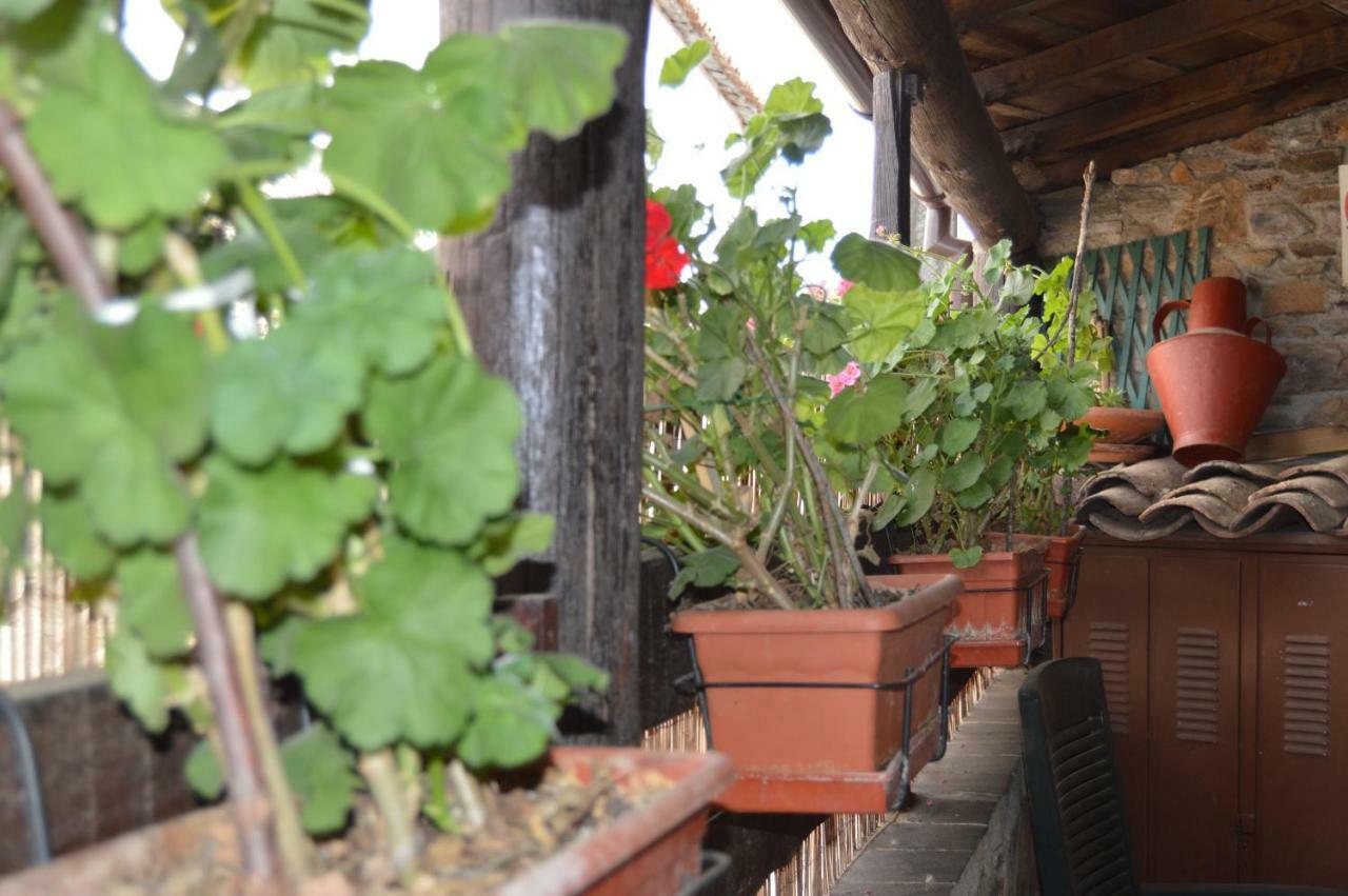 Willa Apimonte Casa Do Pascoal - Pn Montesinho Bragança Zewnętrze zdjęcie