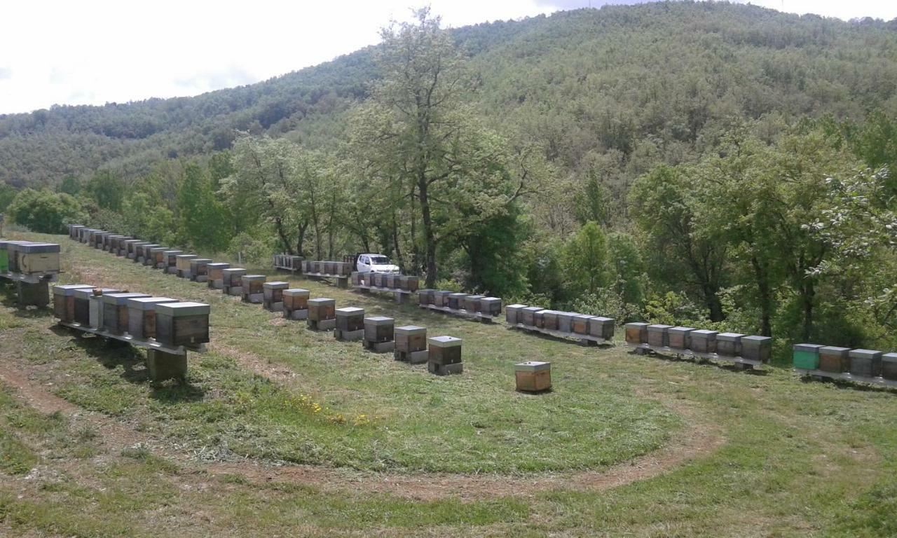 Willa Apimonte Casa Do Pascoal - Pn Montesinho Bragança Zewnętrze zdjęcie