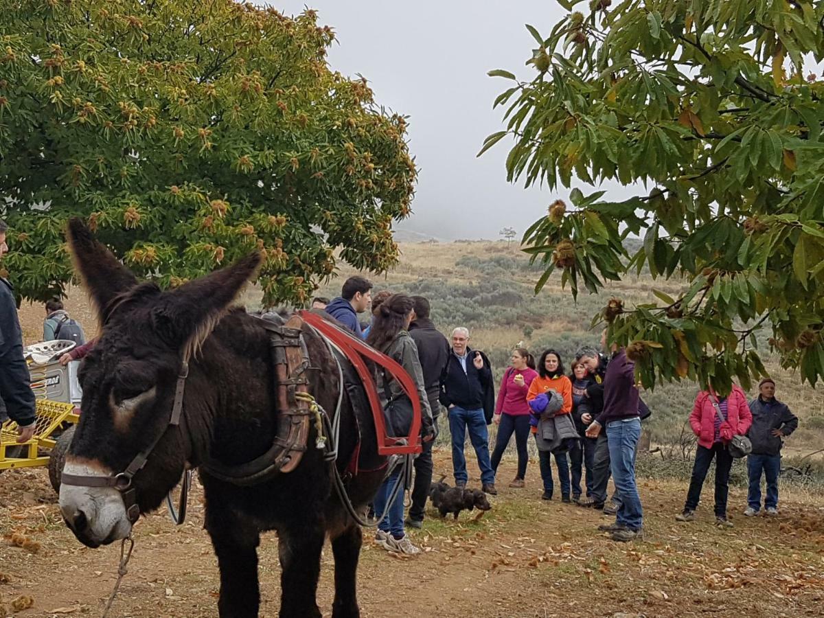 Willa Apimonte Casa Do Pascoal - Pn Montesinho Bragança Zewnętrze zdjęcie