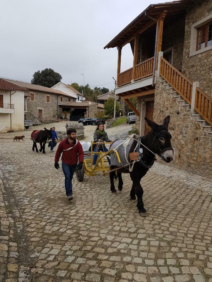 Willa Apimonte Casa Do Pascoal - Pn Montesinho Bragança Zewnętrze zdjęcie